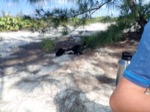 resIMG_20180621_151118_P6210527.JPG